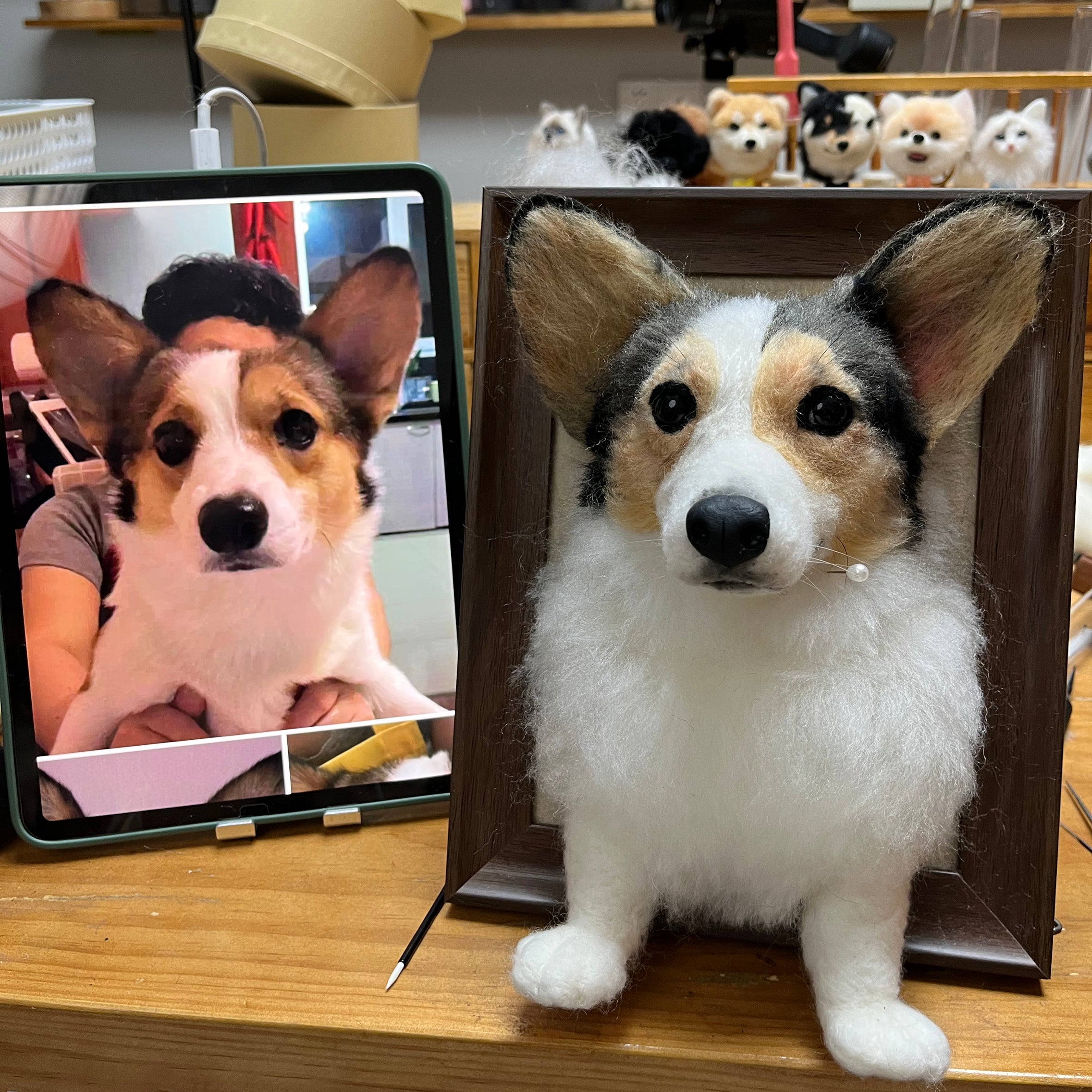 3D Framed Pet Portrait