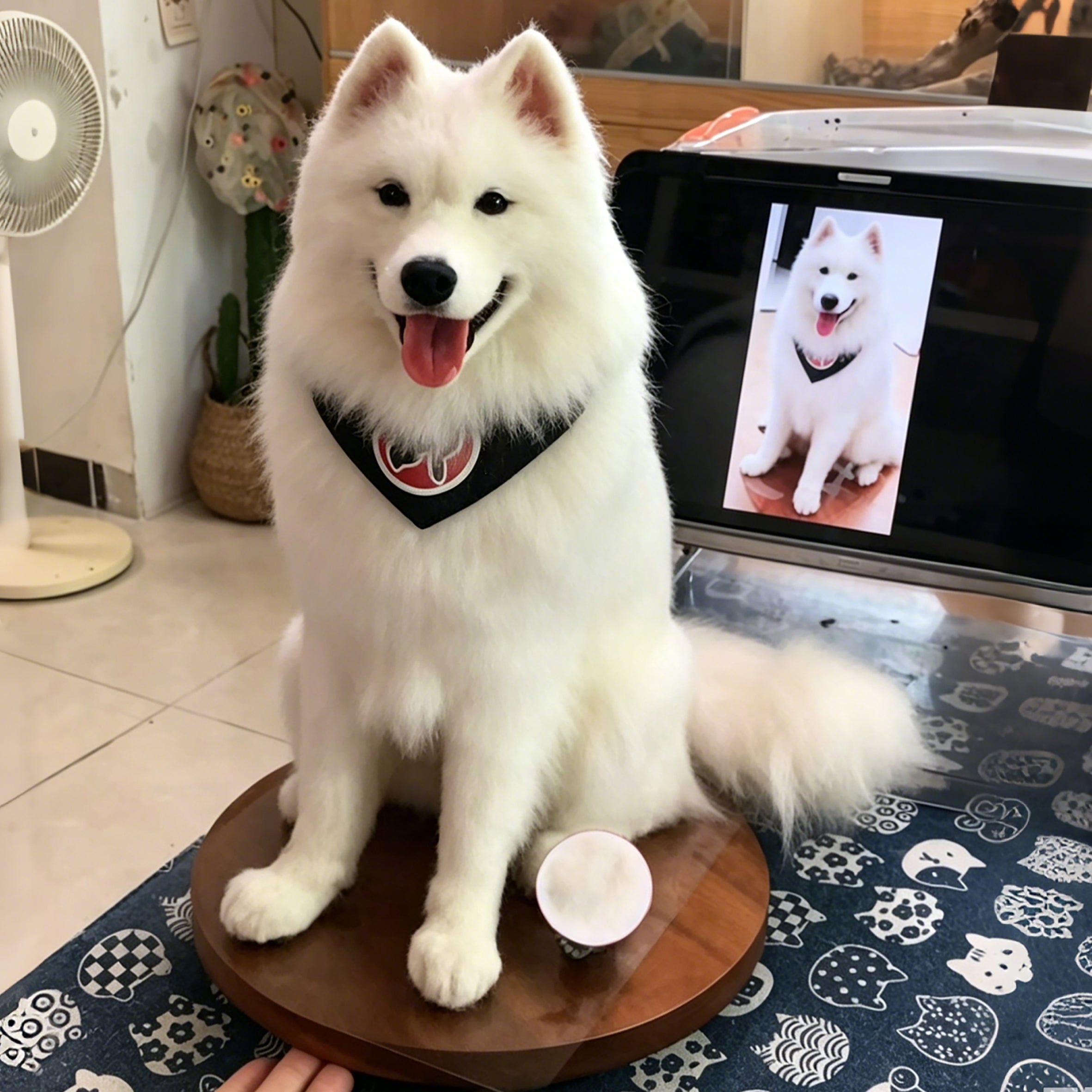 1:1  Full Body Figurine