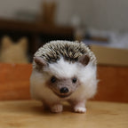 Full Body Figurine(other pets)