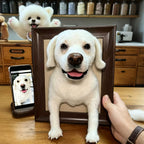 3D Framed Pet Portrait