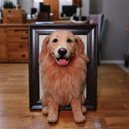 3D Framed Pet Portrait