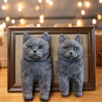 3D Framed Pet Portrait