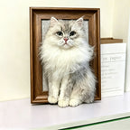 3D Framed Pet Portrait-Cat