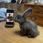 Full Body Figurine(other pets)