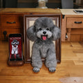 3D Framed Pet Portrait