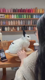 Full Body Figurine(other pets)