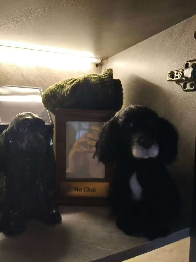 Wooly Angel story example 14 image 1